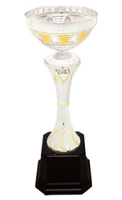 10 3/4" Gold / Silver Metal Trophy Cup