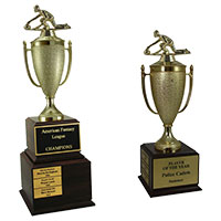 Curling Perpetual Trophies