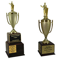Debate Perpetual Trophies