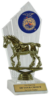 FFA Draft Horse Award