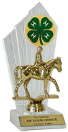 4-H Equestrian Award