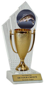 Walleye Cup Award