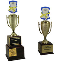 Perpetual Fitness Trophies