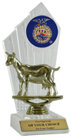FFA Goat Award