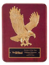 9"x12" Soring Eagle Plaque