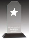 Jade Acrylic Rising Star Award