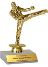 6" Karate Trophy