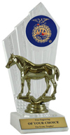 FFA Quarter Horse Award