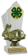 4-H Rabbit Award