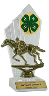 4-H Racing Horse Award
