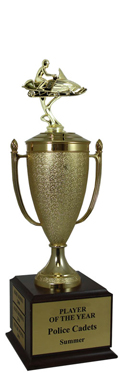 Champion Snowmobile Cup Trophy