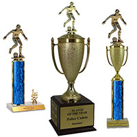 Soccer Trophies and Awards