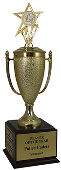 1st Place Champion Cup Trophy