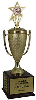 3rd Place Champion Cup Trophy