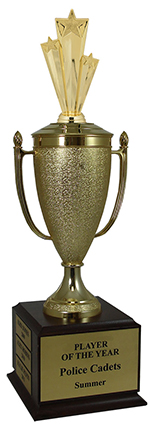 Star Performer Champion Cup Trophy