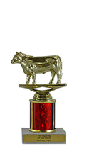 6" Steer Economy Trophy