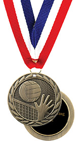 Economy Engraved Volleyball Medal