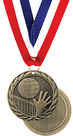 Economy Volleyball Medal