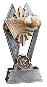 Volleyball Star Victory Trophy