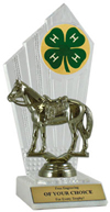 4-H Western Horse Award