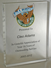 10" Flame Acrylic Award